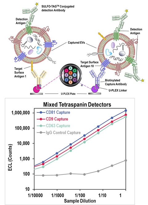 Multiplexed EV immunoassay